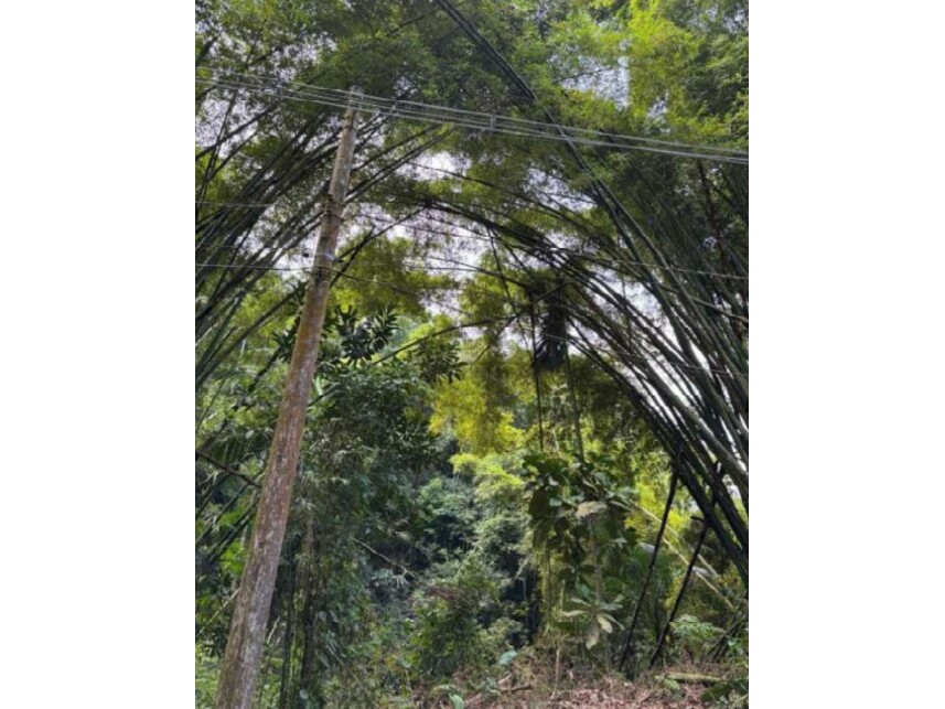 Imagem 9 do Leilão de Terreno - Guararú - Guarujá/SP