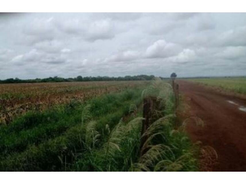 Imagem 20 do Leilão de Área Rural - Zona Rural - Goiatuba/GO