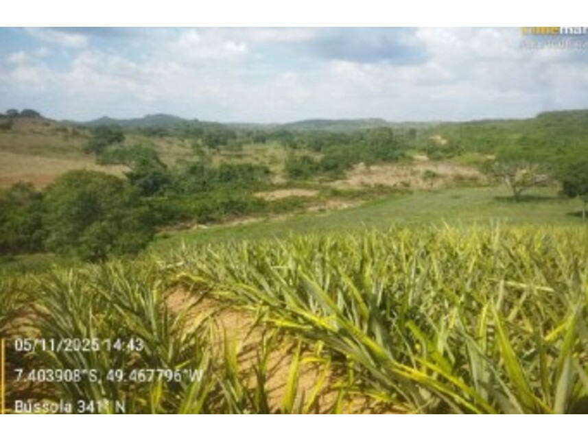 Imagem 8 do Leilão de Fazenda - Zona Rural - Floresta do Araguaia/PA