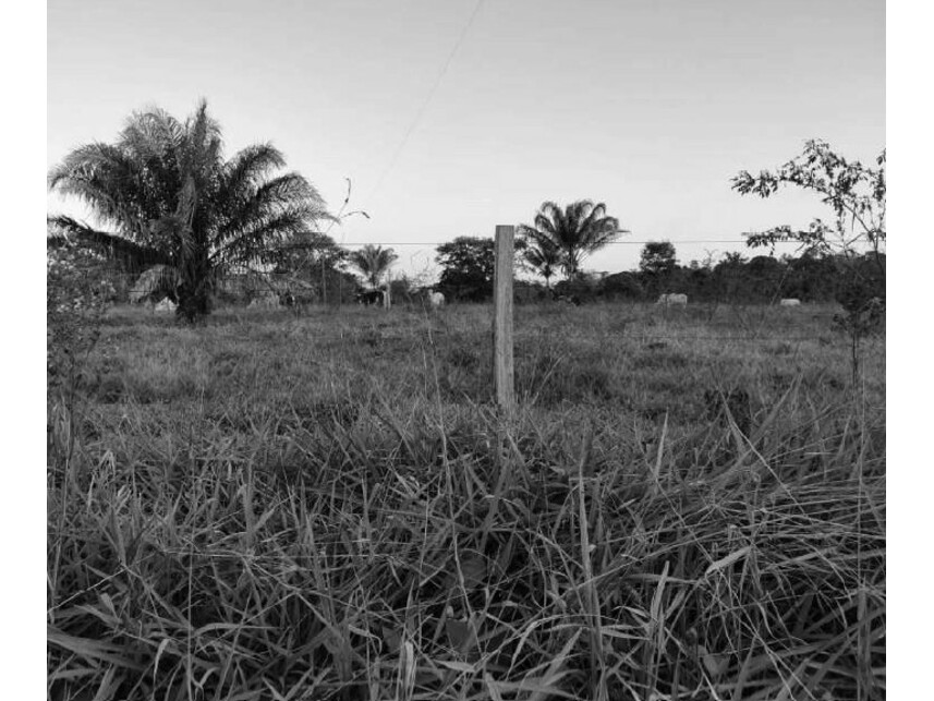 Imagem 4 do Leilão de Área Rural - Zona Rural - Vilhena/RO