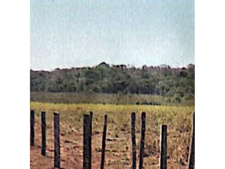 Imagem 1 do Leilão de Área Rural - Zona Rural - Coxim/MS