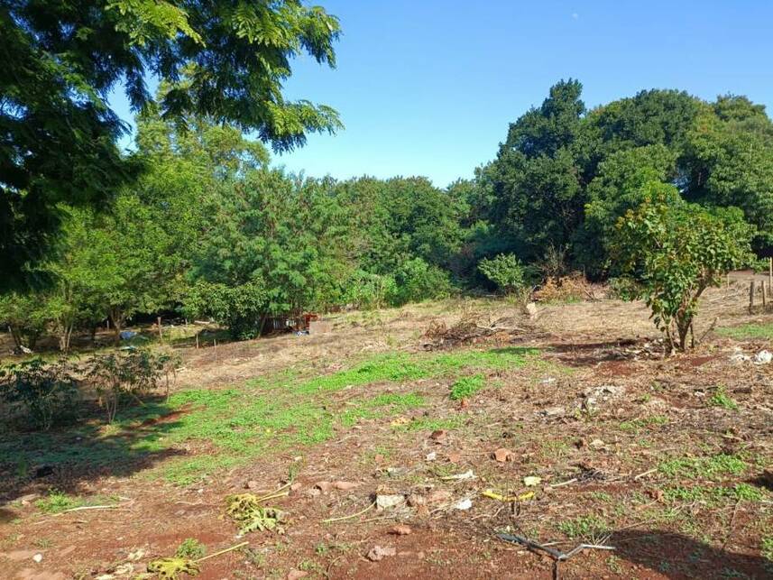 Imagem 6 do Leilão de Terreno - Jardim Santa Luzia Iii - Paiçandu/PR