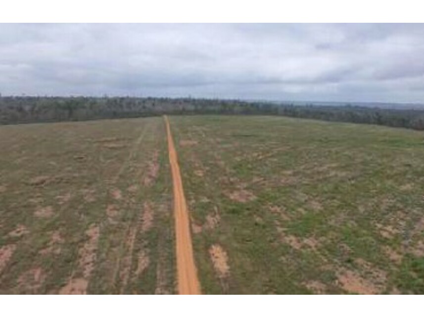 Imagem 1 do Leilão de Área Rural - Zona Rural - Rondon do Pará/PA