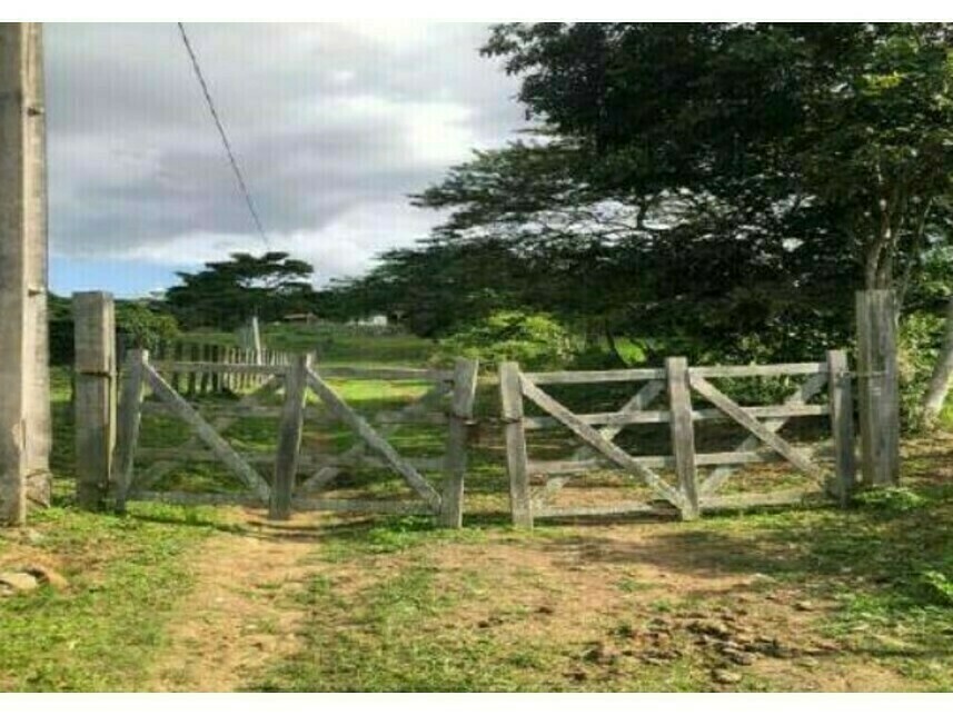 Imagem  do Leilão de Fazenda - Rua do Rio - Maragogipe/BA