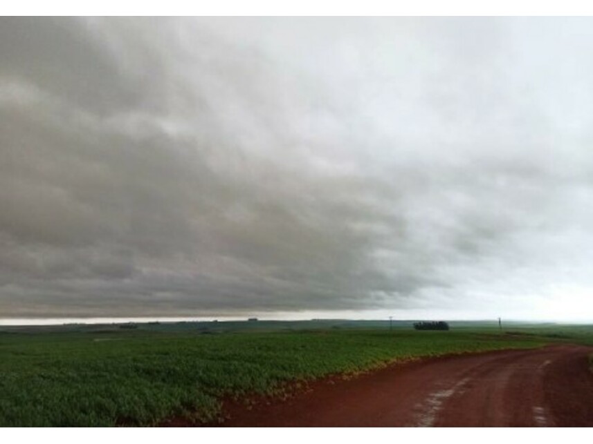 Imagem 6 do Leilão de Área Rural - Zona Rural - Tupanciretã/RS