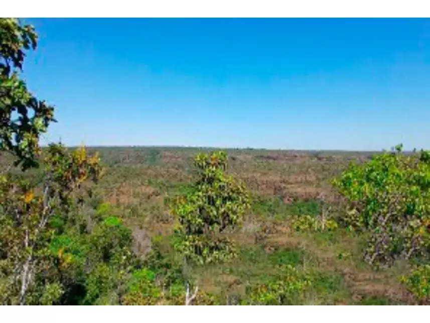 Área Rural à venda em leilão - leilão extrajudicial - Campos Lindos TO - lance mínimo R$ 268.000