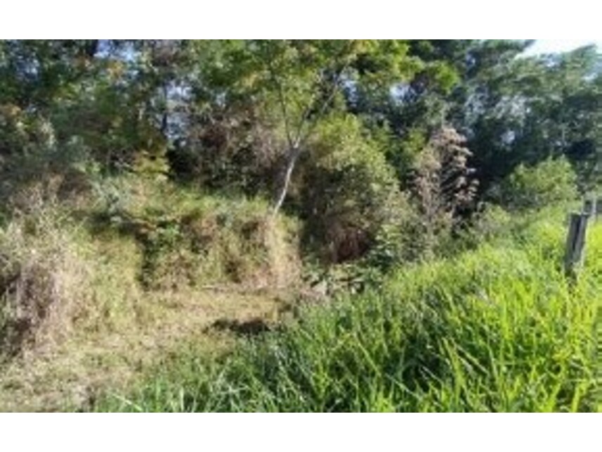 Imagem 9 do Leilão de Área Rural - Parque Residencial Alvorada - Caçapava/SP