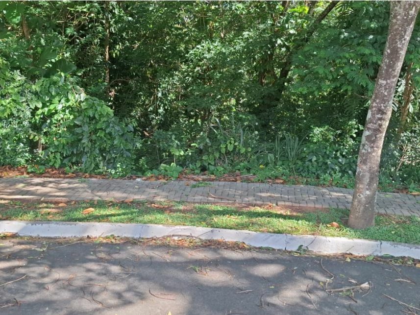 Imagem 6 do Leilão de Terreno - Loteamento Residencial Fazenda São José - Valinhos/SP