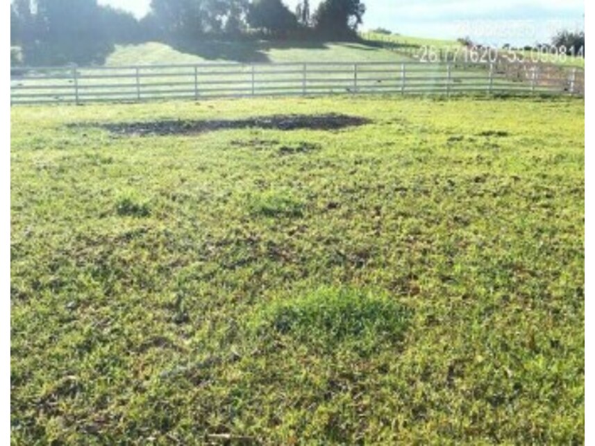 Imagem 6 do Leilão de Área Rural - Zona Rural - Quinze de Novembro/RS