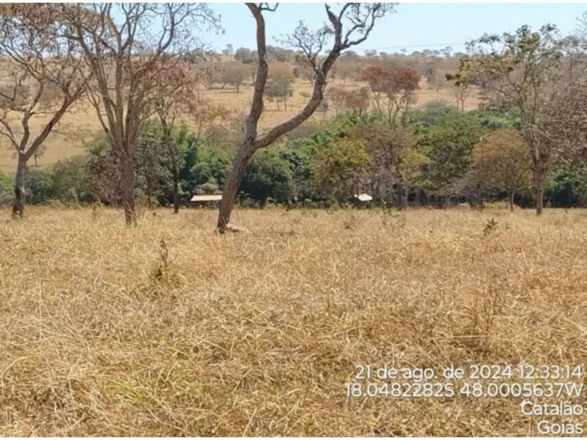 Imagem 8 do Leilão de Terreno - Zona Rural - Catalão/GO