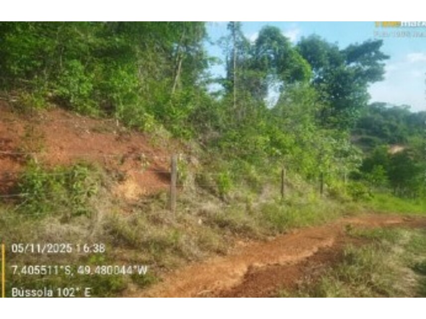Imagem 5 do Leilão de Fazenda - Zona Rural - Floresta do Araguaia/PA