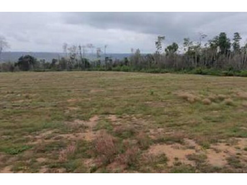 Imagem 2 do Leilão de Área Rural - Zona Rural - Rondon do Pará/PA