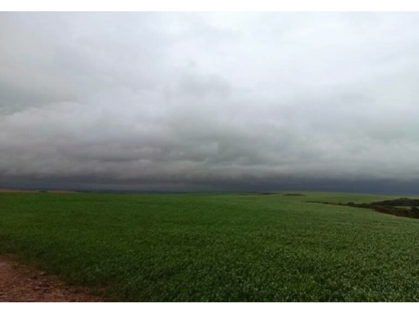 Imagem 3 do Leilão de Área Rural - Zona Rural - Tupanciretã/RS