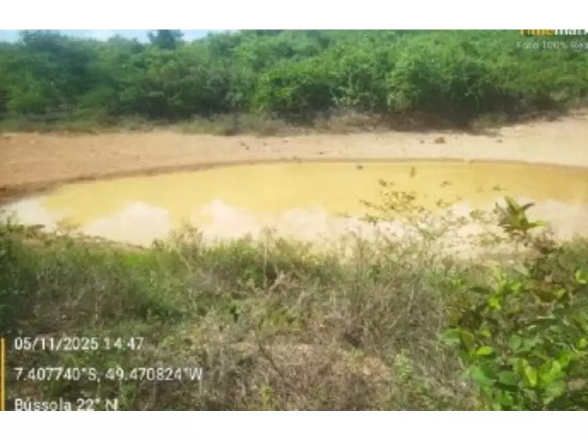 Fazenda à venda em leilão - leilão extrajudicial - Floresta do Araguaia PA - lance mínimo R$ 1.465.258
