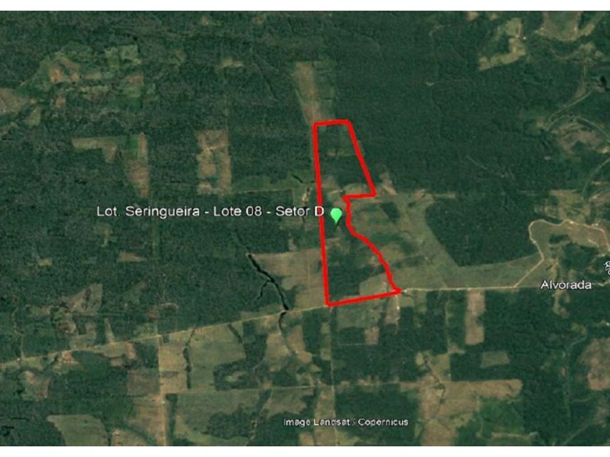 Imagem  do Leilão de Área Rural - Zona Rural - Moju/PA