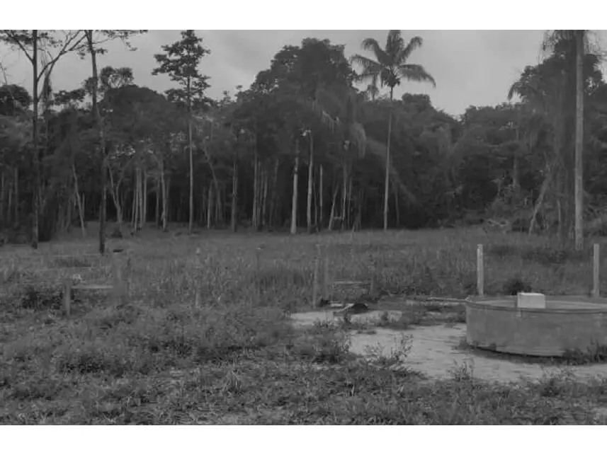 Área Rural à venda em leilão - leilão extrajudicial - Vilhena RO - lance mínimo R$ 2.262.429