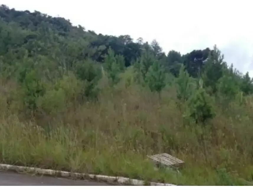 Terreno à venda em leilão - leilão extrajudicial - Nova Petrópolis RS - lance mínimo R$ 140.625