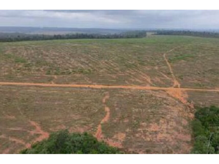 Imagem 6 do Leilão de Área Rural - Zona Rural - Rondon do Pará/PA