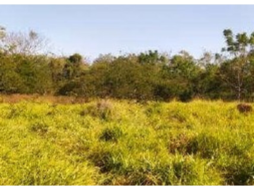 Imagem 8 do Leilão de Área Rural - Parque Residencial Alvorada - Caçapava/SP