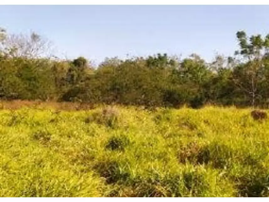 Área Rural à venda em leilão - leilão extrajudicial - Caçapava SP - lance mínimo R$ 3.795.507