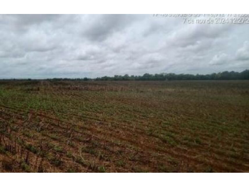 Imagem 17 do Leilão de Área Rural - Zona Rural - Goiatuba/GO