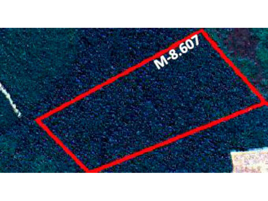 Imagem 7 do Leilão de Área Rural - Zona Rural - Rondon do Pará/PA