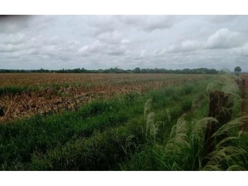Imagem 6 do Leilão de Área Rural - Zona Rural - Goiatuba/GO