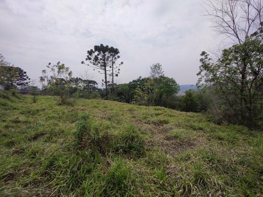 Imagem 7 do Leilão de Terreno - Jardim Sabiá - Cotia/SP