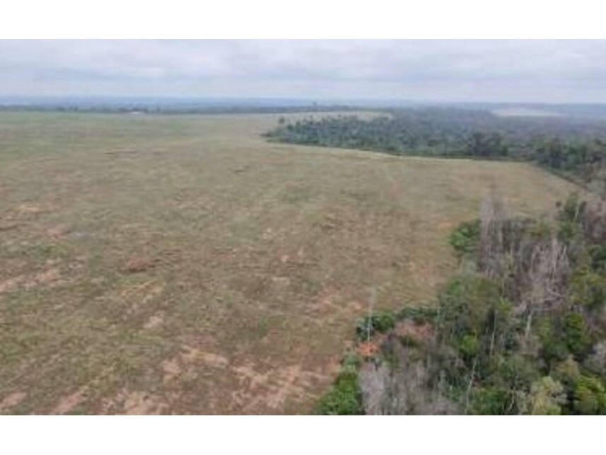 Imagem 3 do Leilão de Área Rural - Zona Rural - Rondon do Pará/PA