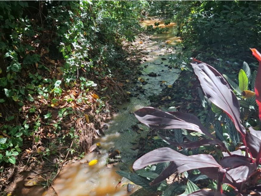 Imagem 4 do Leilão de Terreno - Loteamento Residencial Fazenda São José - Valinhos/SP