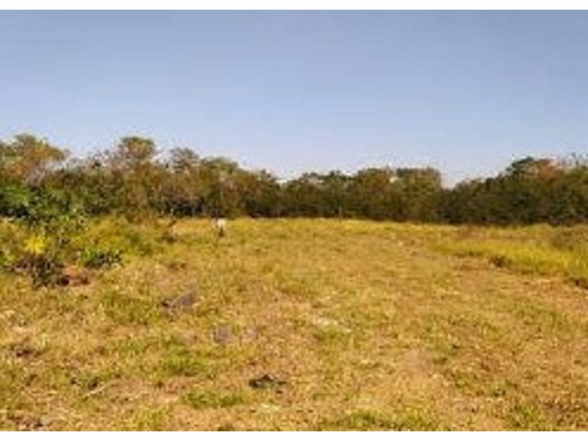 Imagem 7 do Leilão de Área Rural - Parque Residencial Alvorada - Caçapava/SP