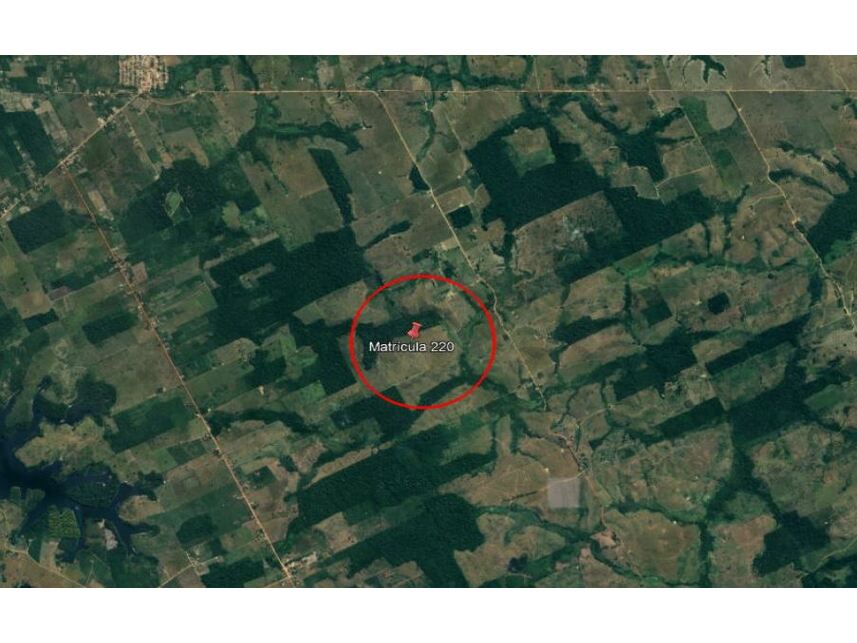 Imagem do Leilão de Área Rural - Gleba Repartimento - Breu Branco/PA