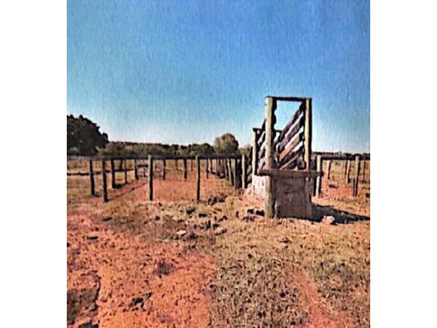 Imagem 6 do Leilão de Área Rural - Zona Rural - Coxim/MS