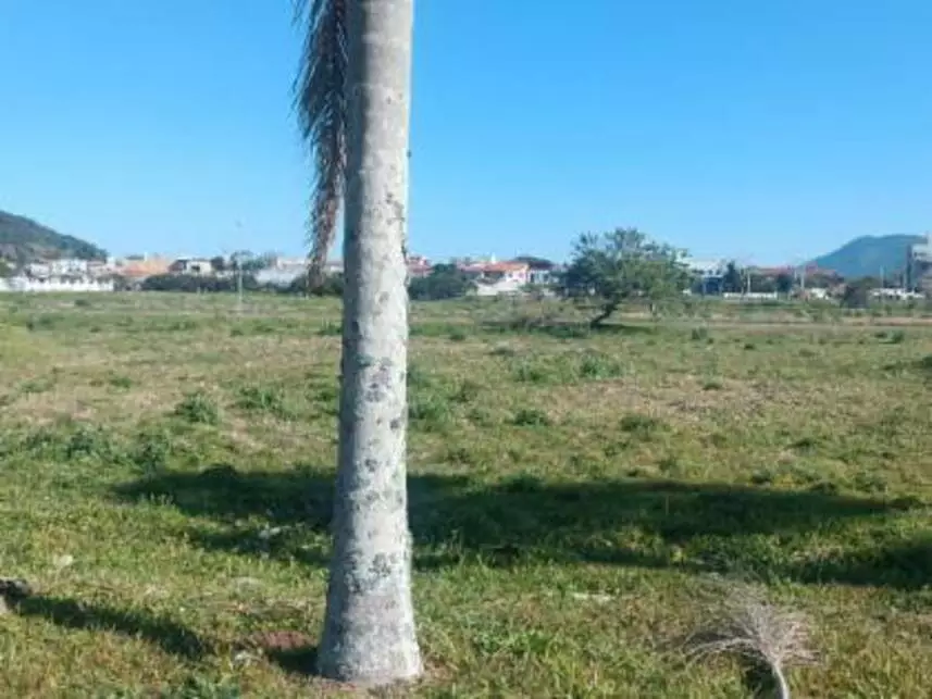 Terreno à venda em leilão - leilão extrajudicial - Florianópolis SC - lance mínimo R$ 228.600