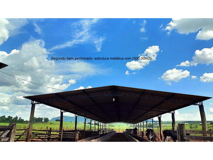 Imagem 1 do Leilão de Materiais em Pirassununga/SP