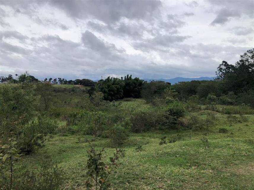 Imagem 4 do Leilão de Terreno - Parque São Cristóvão - Taubaté/SP