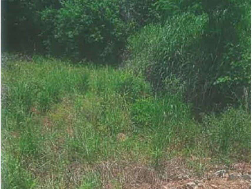 Imagem 3 do Leilão de Terreno - Loteamento Simon Bolivar Ii - Corumbaíba/GO