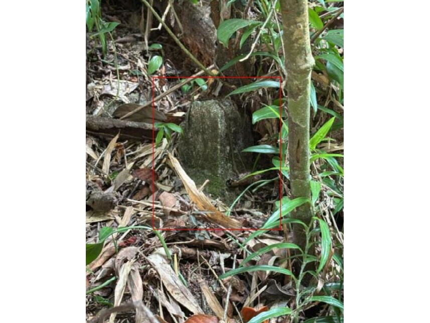 Imagem 12 do Leilão de Terreno - Guararú - Guarujá/SP