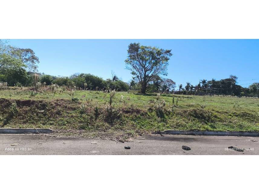 Imagem 6 do Leilão de Terreno - Pérola - Pérola/PR