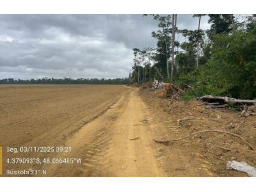 Imagem 13 do Leilão de Área Rural - Área Rural - Rondon do Pará/PA