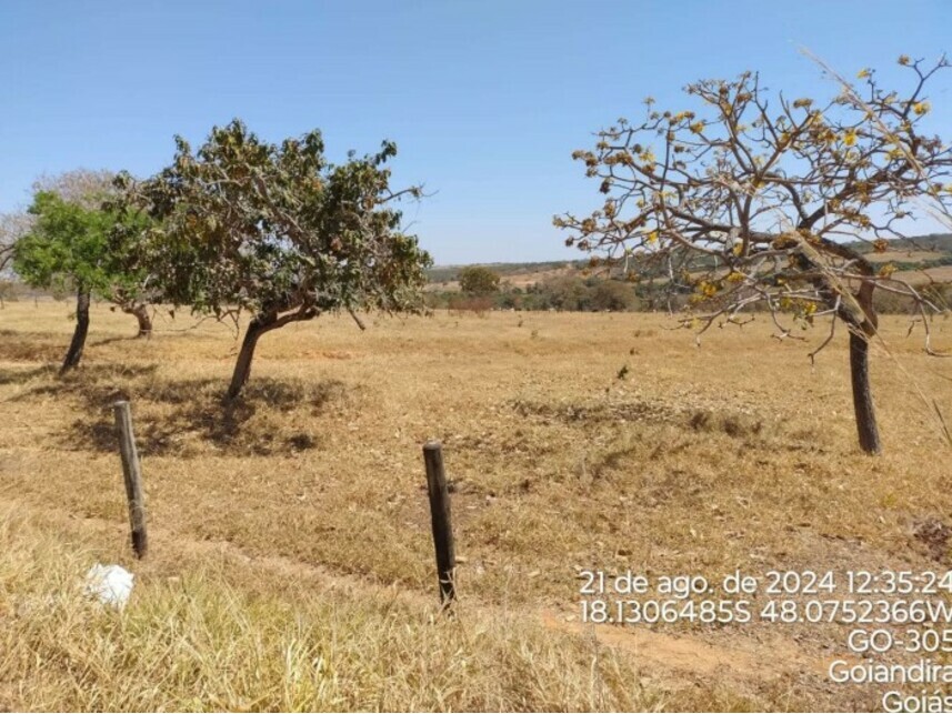Imagem 2 do Leilão de Terreno - Zona Rural - Catalão/GO
