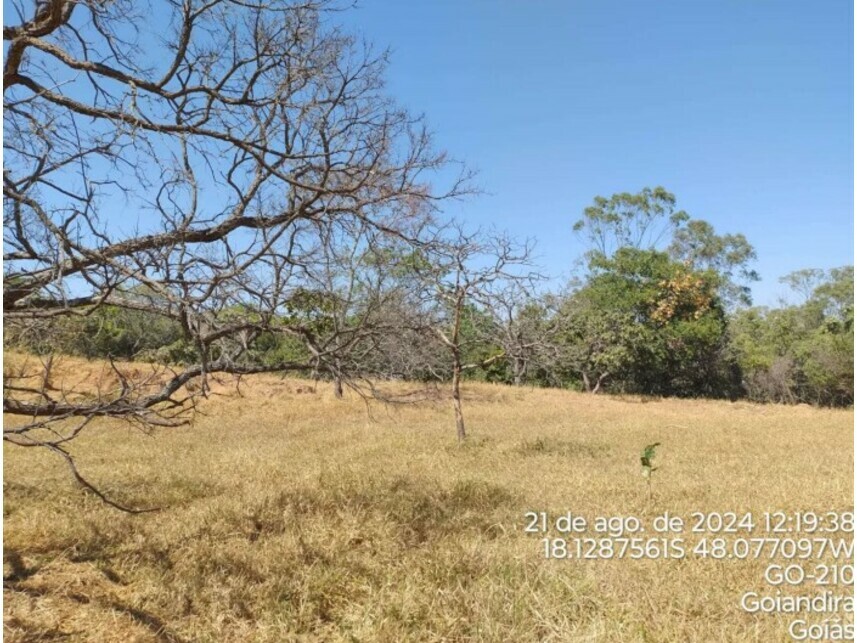 Imagem 13 do Leilão de Terreno - Zona Rural - Catalão/GO