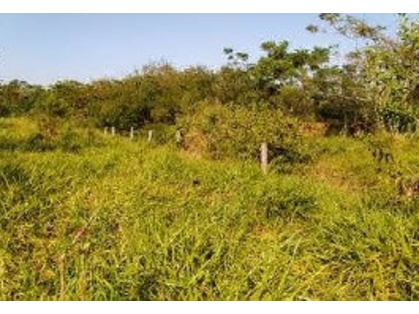 Imagem 6 do Leilão de Área Rural - Parque Residencial Alvorada - Caçapava/SP