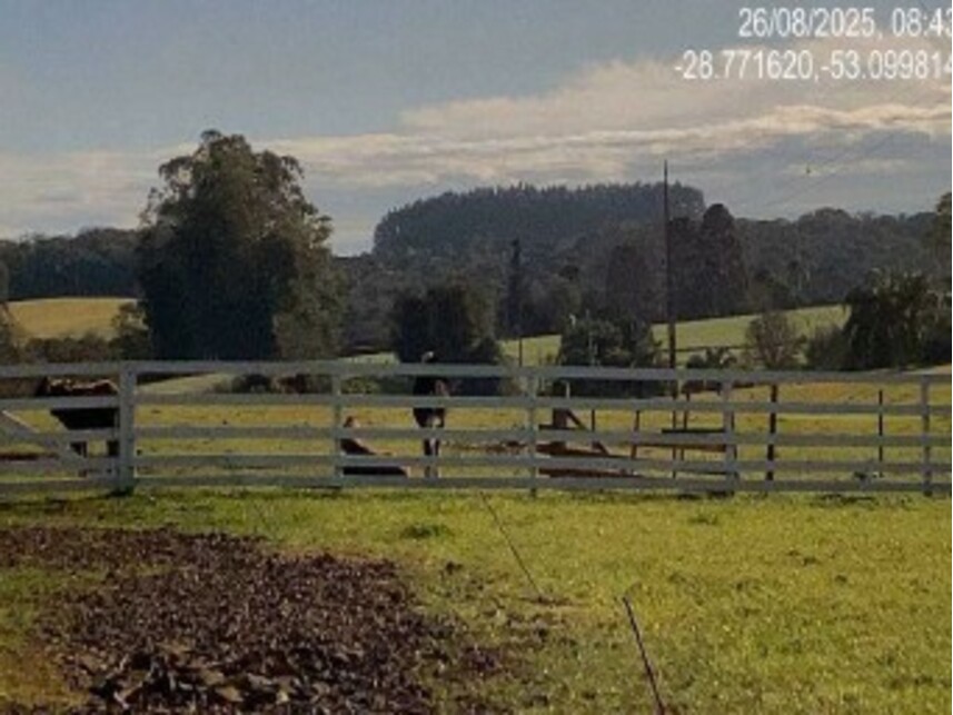 Imagem 5 do Leilão de Área Rural - Zona Rural - Quinze de Novembro/RS