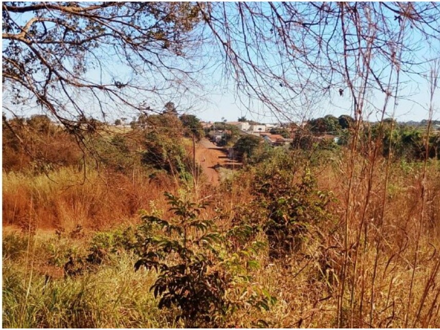 Imagem 2 do Leilão de Terreno - Sítio Manoel Velho - Indianópolis/MG
