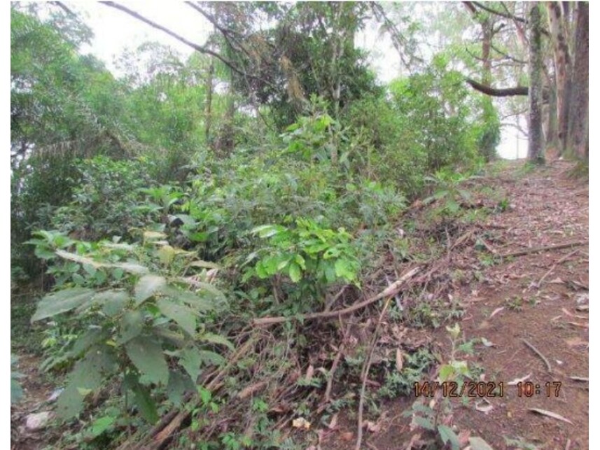 Imagem 7 do Leilão de Terrenos - Batistini - São Bernardo do Campo/SP