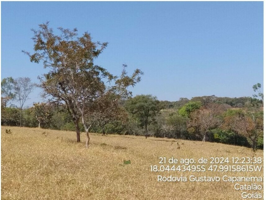 Imagem 15 do Leilão de Terreno - Zona Rural - Catalão/GO