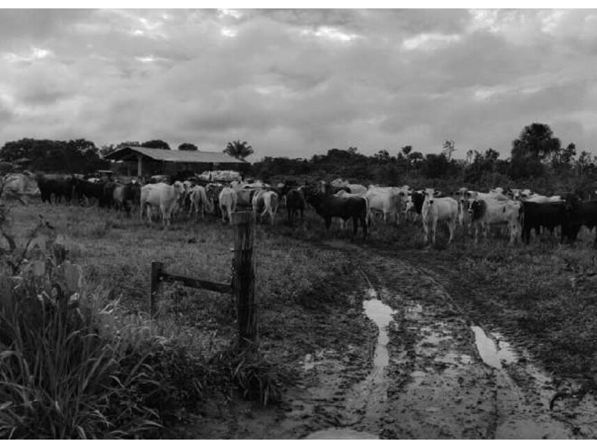 Imagem 3 do Leilão de Área Rural - Zona Rural - Vilhena/RO