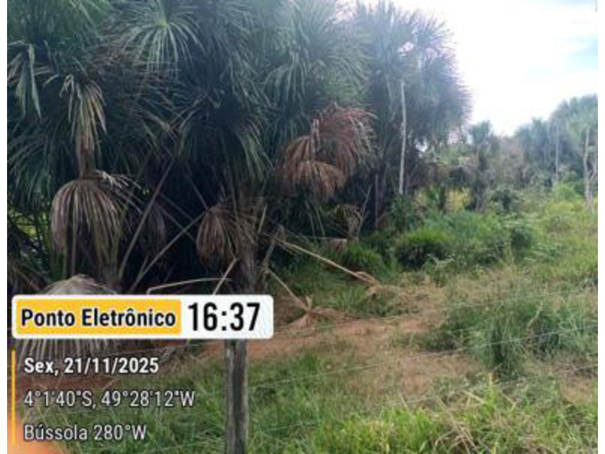 Imagem 8 do Leilão de Área Rural - Gleba Repartimento - Breu Branco/PA