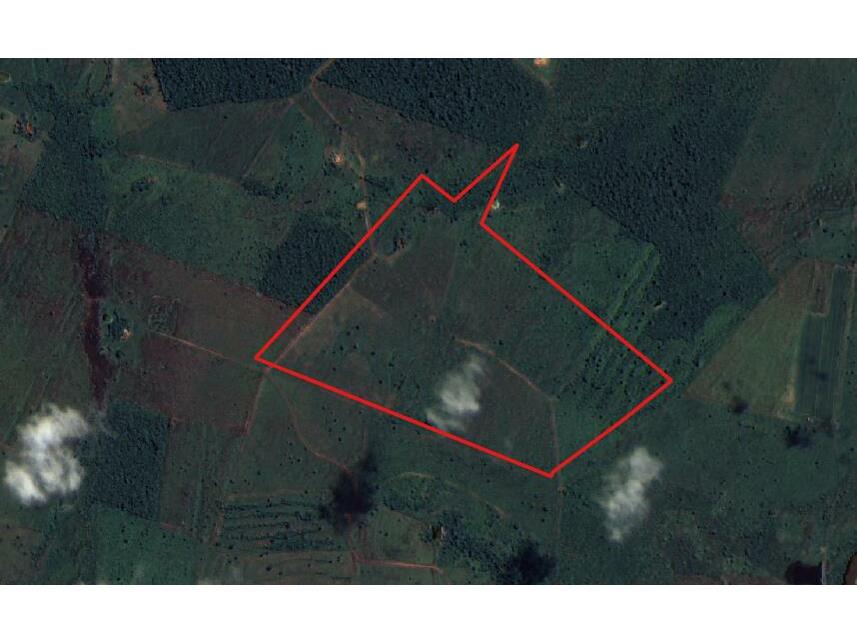 Imagem 10 do Leilão de Área Rural - Zona Rural - Santa Maria das Barreiras/PA